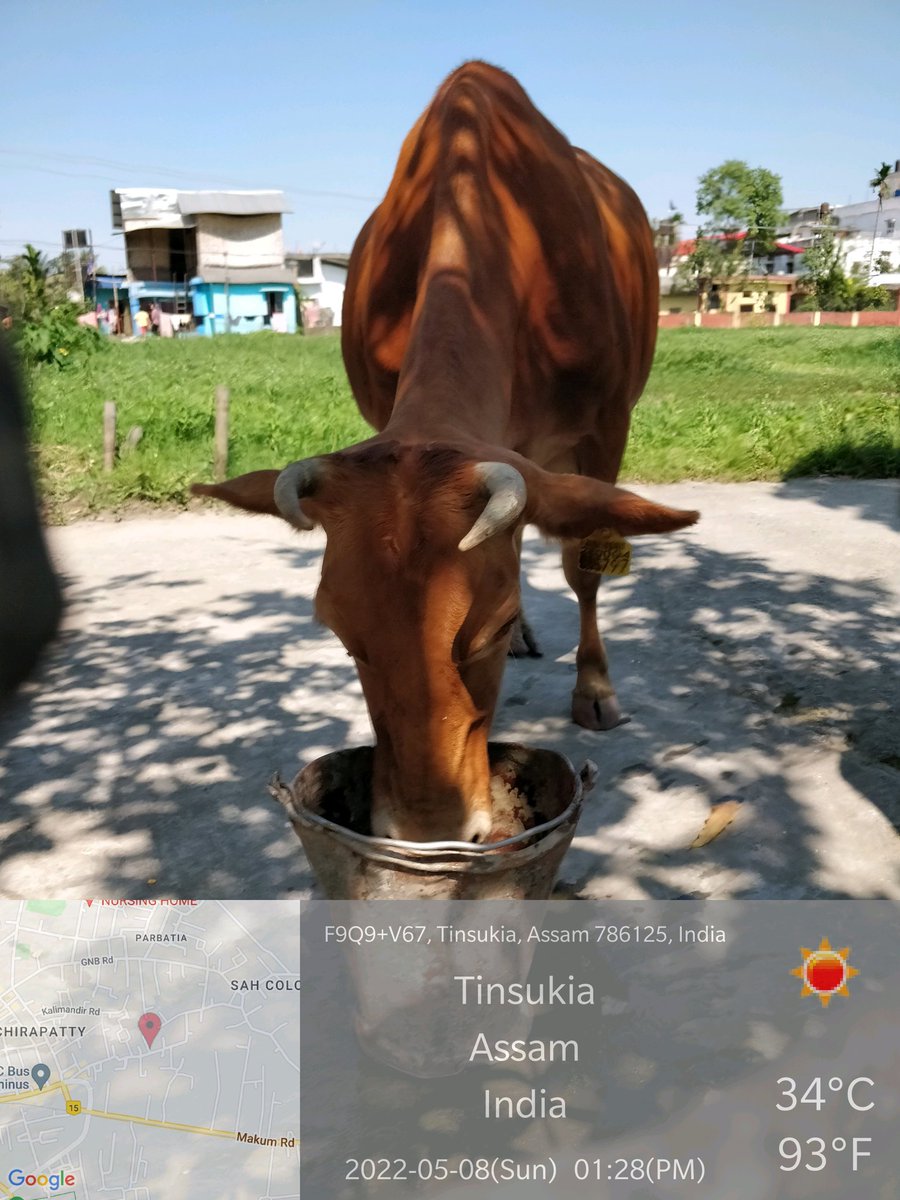 kalantri_rishu's tweet photo. "Words cannot express my #satisfaction"
Few might think this as a show off. But as I was returning from #sunday #vegmarket amid this #sultry #Heat, despite in my dad's car, I did realize imp of #waters for #straying #animals. Pl try to serve water to animals in our surrounding https://t.co/zUoOc9T7m7