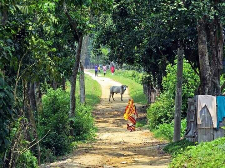 CbaChy7's tweet photo. our village scenery https://t.co/CWAsMIPbhd