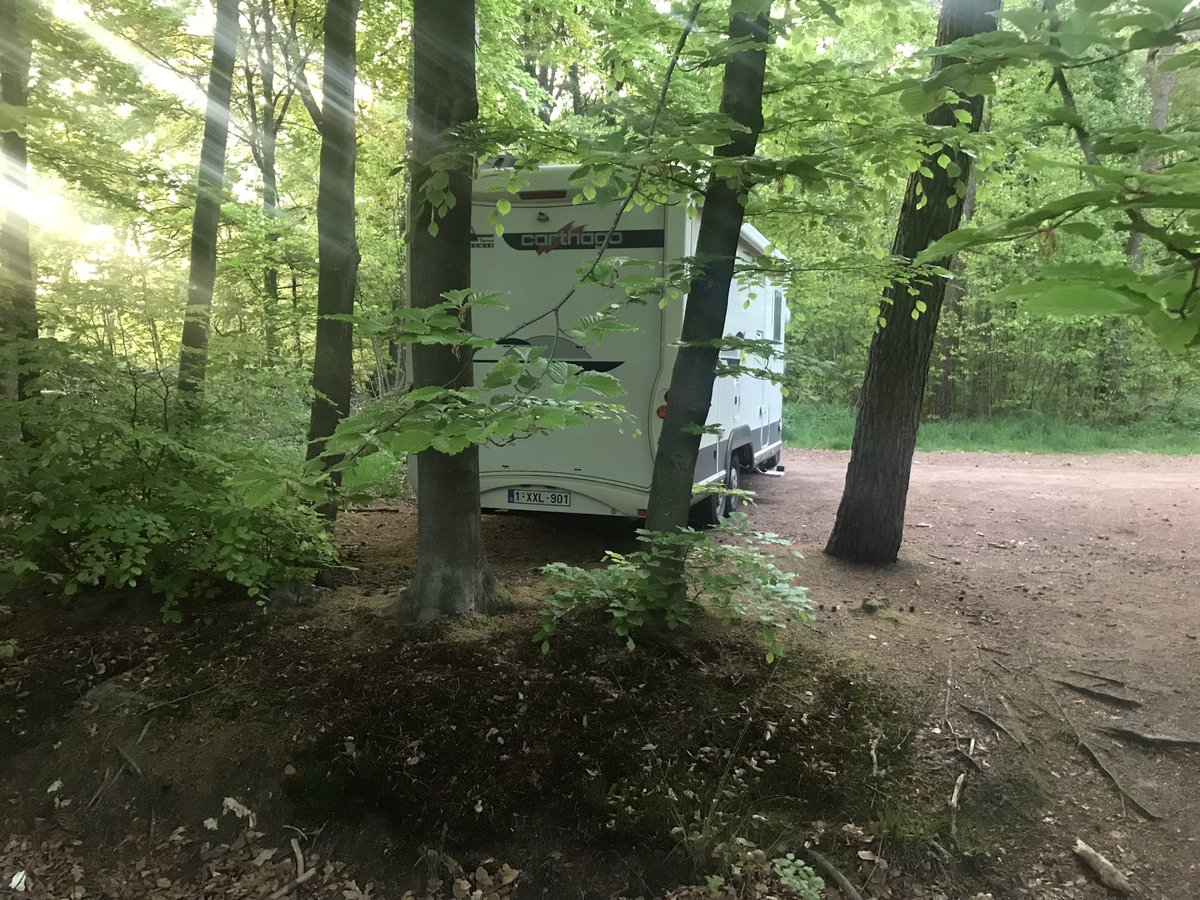 123Tim's tweet image. Wildkamperen bij visio , Breda , mastbos @POL_Breda @staatsbosbeheer (foto gisteravond 2200)