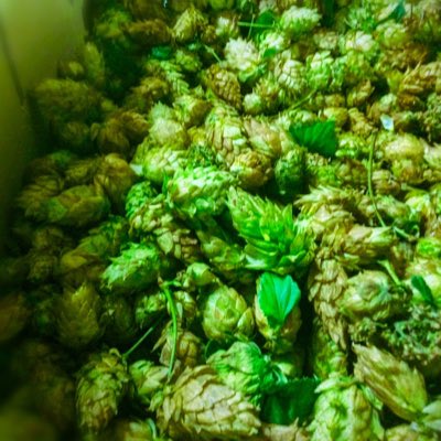 AbqDrinks's tweet photo. #NewProfilePic https://t.co/mMqCR50I60