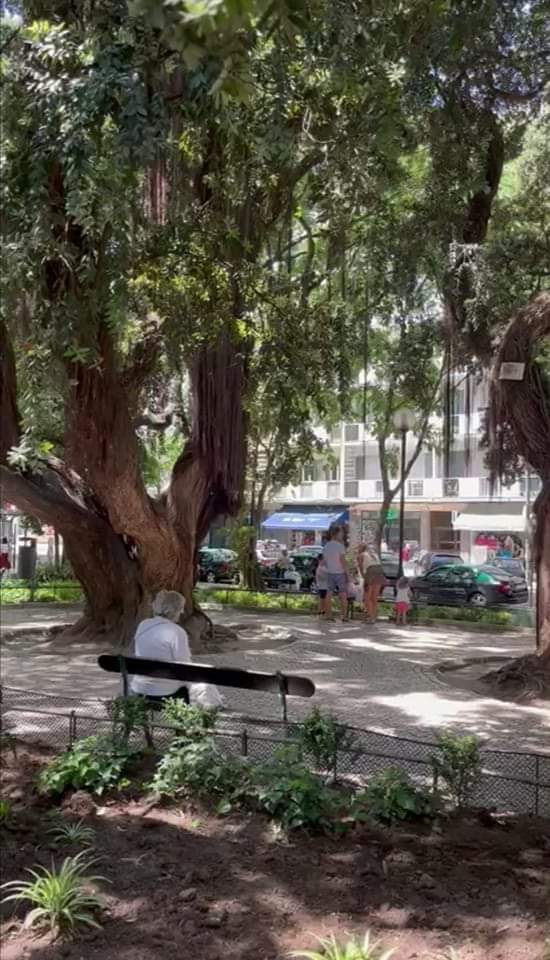 CulinariaOutono's tweet photo. Viajo sozinha com o meu coração.
Não ando perdida, mas desencontrada.
Levo o meu rumo na minha mão.

Campo de Ourique Lisboa 

#portugallovers #jardins #portugalbanzado https://t.co/StNvgdz6IJ