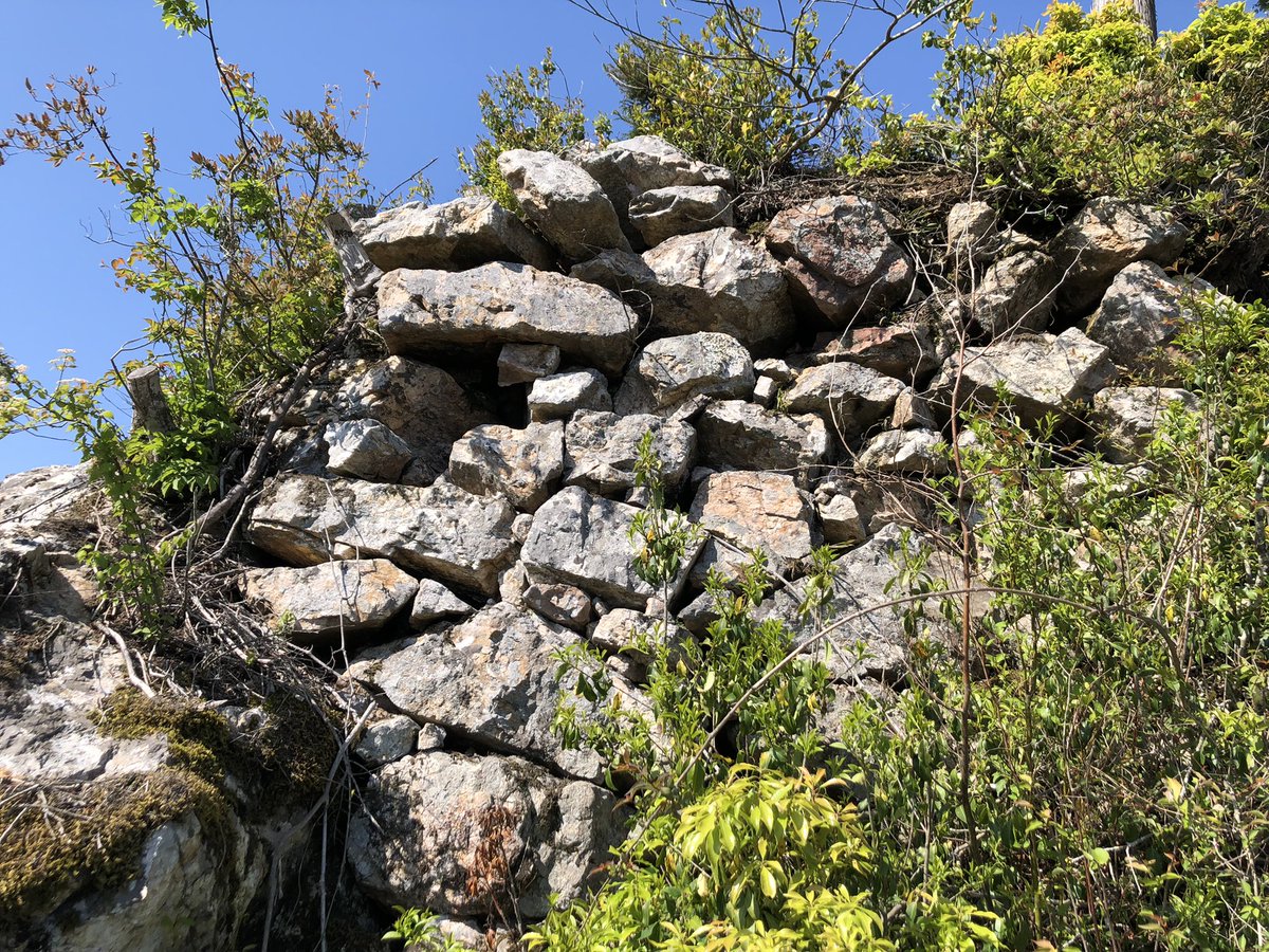 quartz_nbm's tweet photo. 金山城(丹波市)
1578年、八上城の波多野氏を攻撃するために明智光秀が築城しました。篠山街道の鐘ヶ坂峠を押さえ、黒井城からの援軍ルートを分断しているのがよくわかります☺️
八上城を包囲し、兵糧攻めを行いながら敵から見える場所に築城しており、篭城側の戦意を削ぐ効果があったと想像できます。 https://t.co/o4niM41LlW