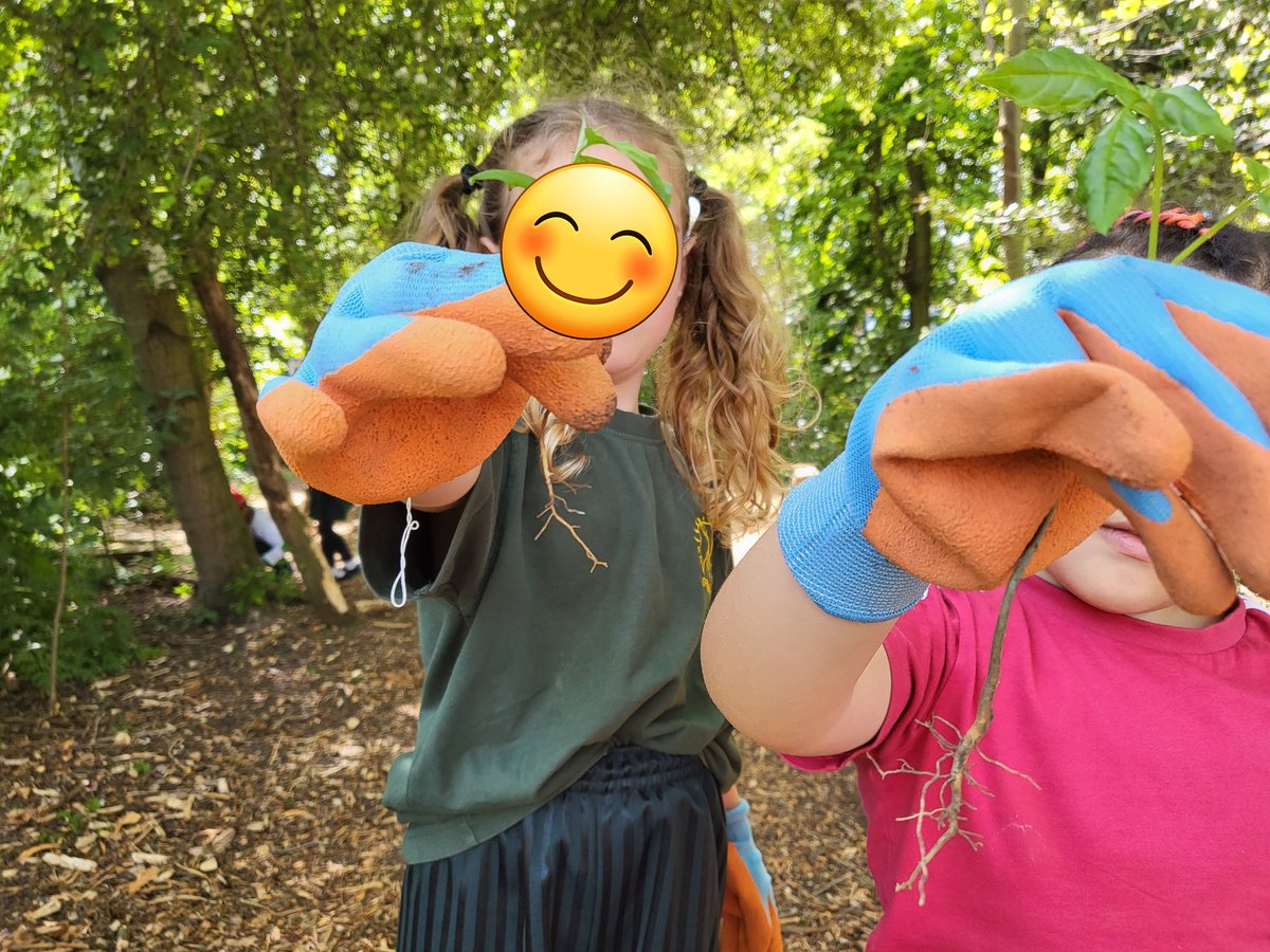 Jane Casson tweet media