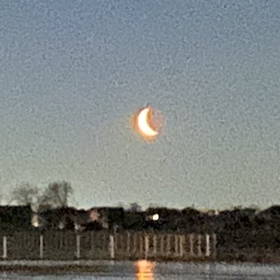 herbie53 tweet media