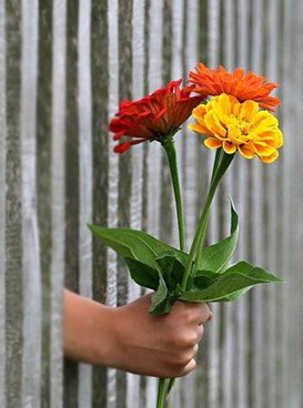 Tüm Annelerin Ve Anne 
Adaylarının Annenler Gününü En Kalbi Duygularımla Kutlar 
Karşılarında Önümü İlikleyerek Saygıyla Eğilirim 

#evliçift 
#cuckoldbull
#cuckoldevliçift
#cuckoldfantazi
#cuckoldizmir
#cuckoldmanisa
#fantazisex
#swingercift
#grupseks
#tekerkek
#tekkadin