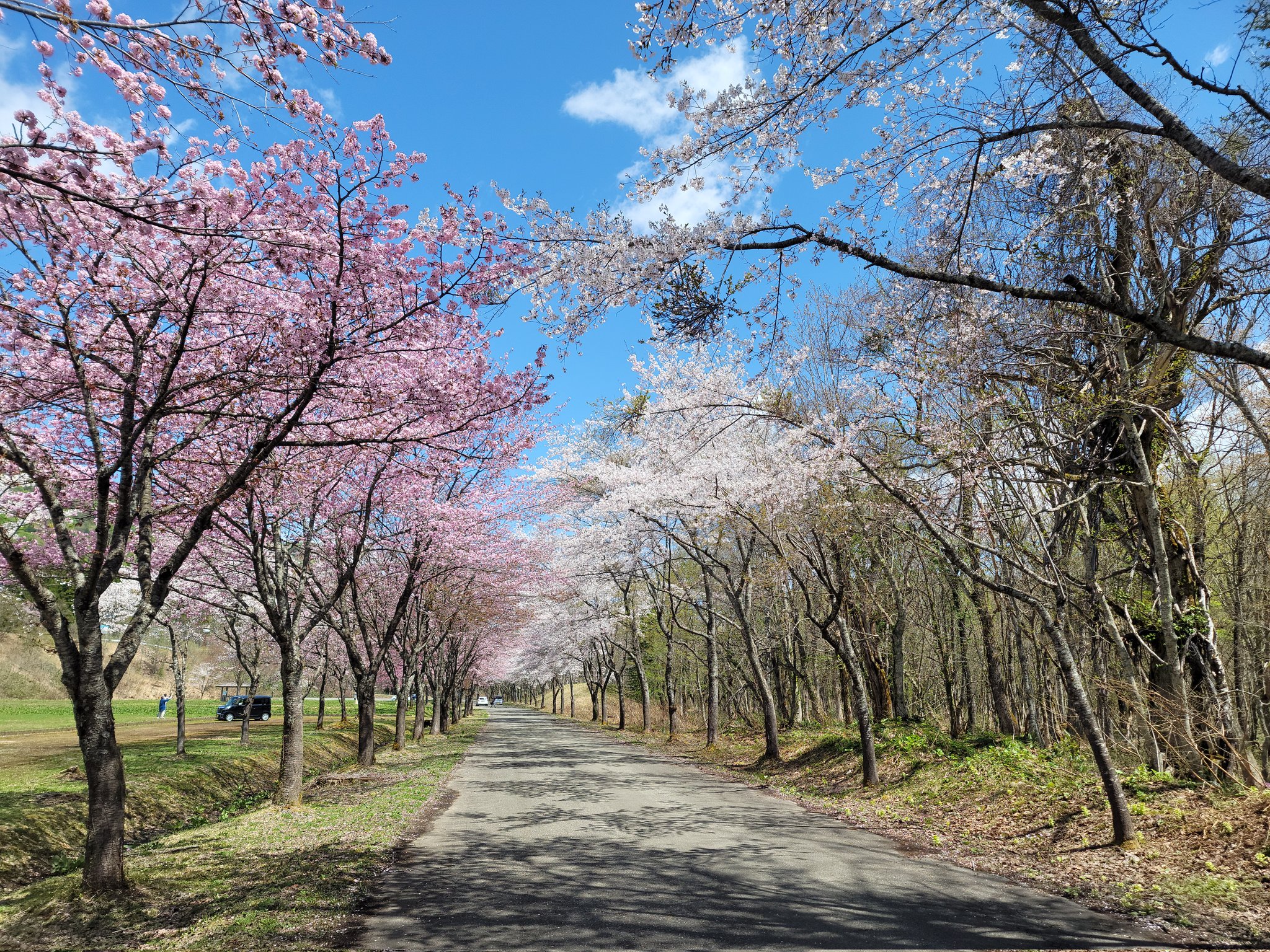 Tweets With Replies By Kyohei Fujiwara Kyoro1223 Twitter