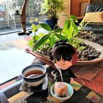 ツイートに含まれる画像