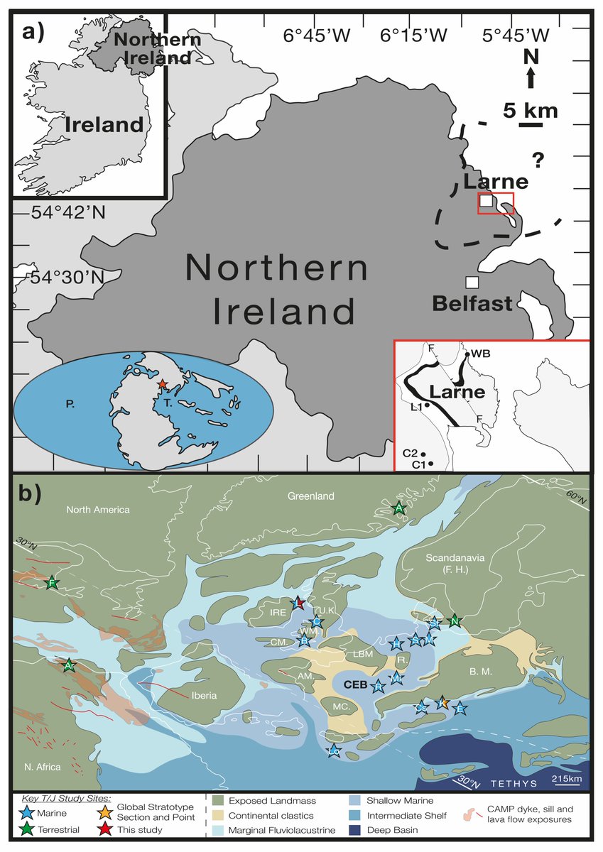 AndrewBond8's tweet photo. First PhD paper published and now available to view online. Our study makes a link between oxygenation of sedimentary pore waters and biodiversity of infaunal organisms within the Larne Basin during the Late Triassic. https://t.co/LJFVhoNyfy 
@London_NERC_DTP @RoyalHolloway https://t.co/DQD1Fr6SPs
