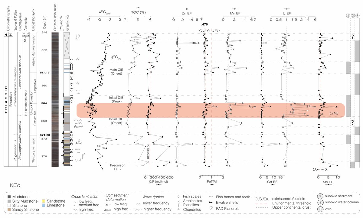 AndrewBond8's tweet photo. First PhD paper published and now available to view online. Our study makes a link between oxygenation of sedimentary pore waters and biodiversity of infaunal organisms within the Larne Basin during the Late Triassic. https://t.co/LJFVhoNyfy 
@London_NERC_DTP @RoyalHolloway https://t.co/DQD1Fr6SPs