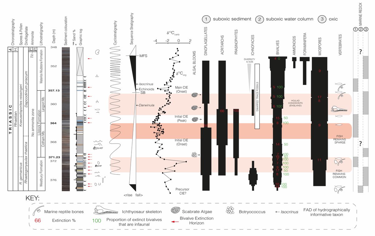AndrewBond8's tweet photo. First PhD paper published and now available to view online. Our study makes a link between oxygenation of sedimentary pore waters and biodiversity of infaunal organisms within the Larne Basin during the Late Triassic. https://t.co/LJFVhoNyfy 
@London_NERC_DTP @RoyalHolloway https://t.co/DQD1Fr6SPs