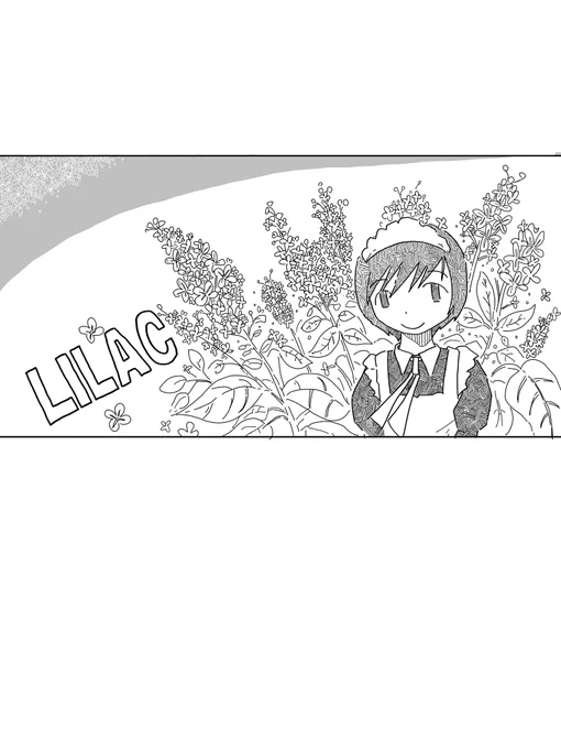 lilac 