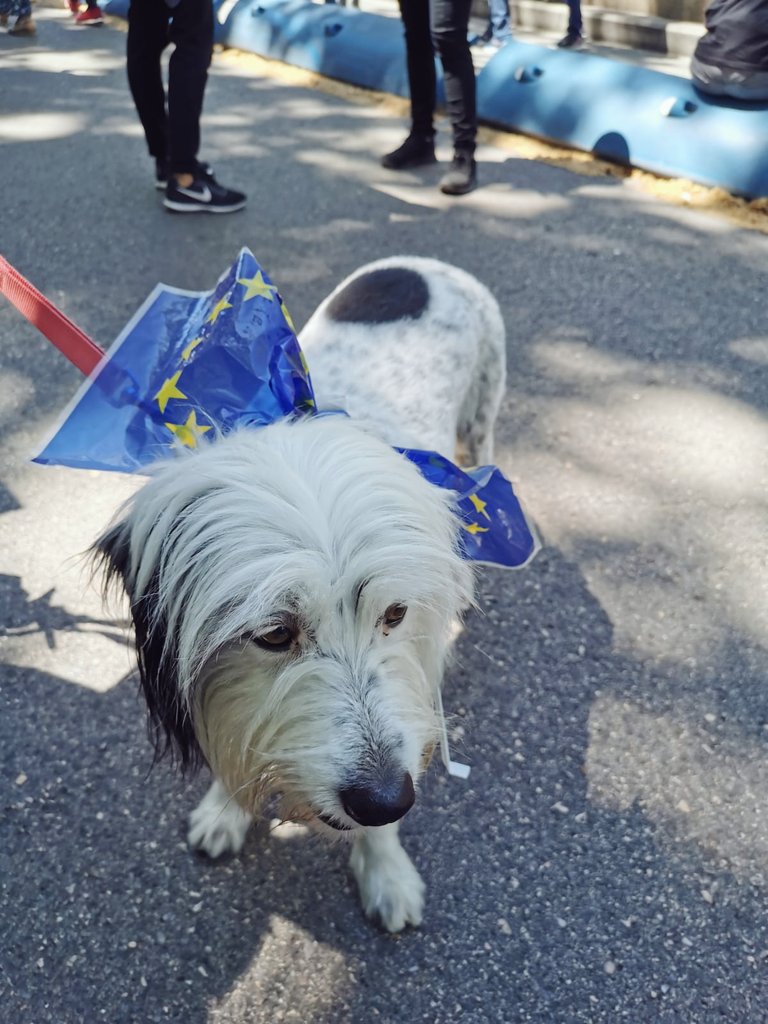 JAVIER ARAUZ #FIJEZAYA tweet media