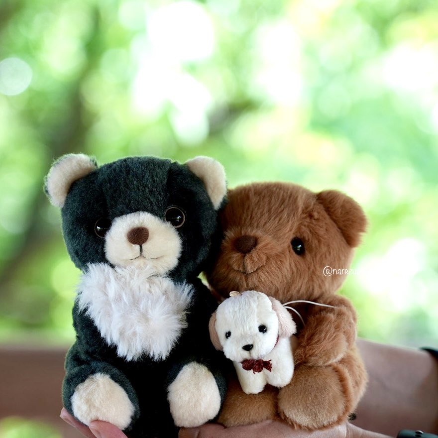 narezushiblog's tweet photo. 先日、茶色いクマの子をお迎えしました☺️

クマの子🧸は「たそがれ」
その愛犬🐕は「バラード」
と名付けました😊
どうぞよろしくお願いします♡

アディココに寄り添って微笑む
たそがれが可愛い☺️💕

#potte #sunarrow #ぬい撮り 
#ぬいぐるみの時間 https://t.co/0EWtIswMOo