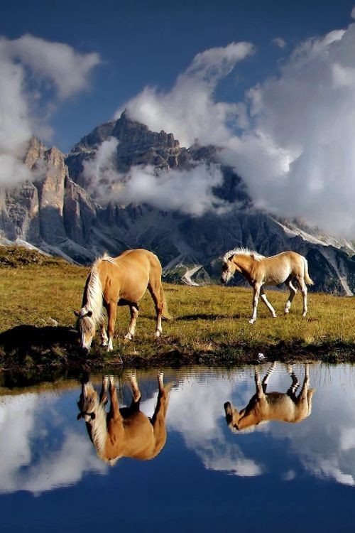 1GrandPari's tweet photo. B💋njour à t❤utes et à t❤us
Good morning To all 🐎 https://t.co/Wj6FMBvGpO
