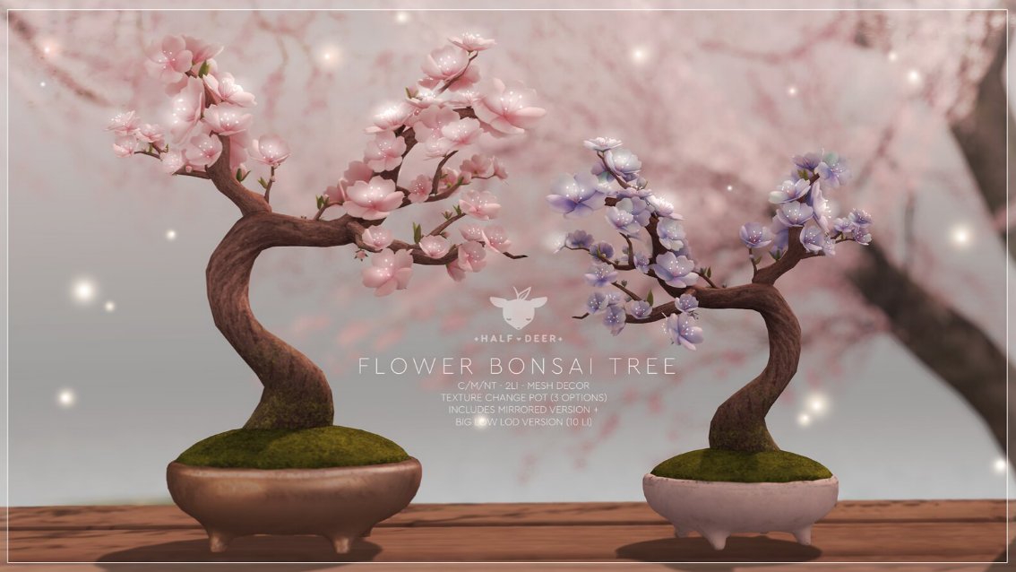 KawaiiFeedSL's tweet photo. +Half-Deer+ Flower Bonsai Tree @ C88〡Taxi: https://t.co/OJAJmDCYmr
#secondlife #metaverse #halfdeer #C88 #kawaiifeed https://t.co/tzoGzMrirk