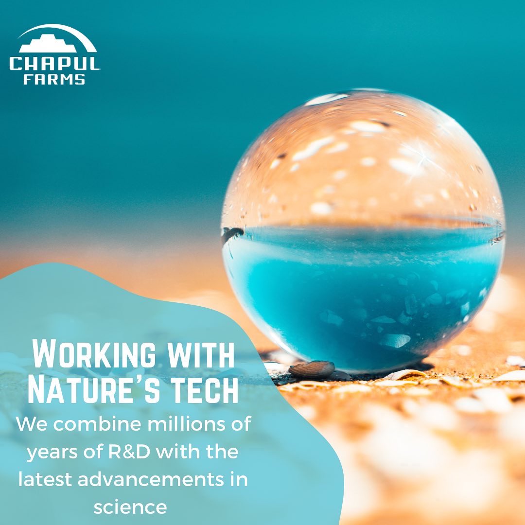 ChapulFarms's tweet photo. Working with millions of years of R&amp;D from nature + latest scientific advancements in #insecttech https://t.co/CvBtuYyEdb