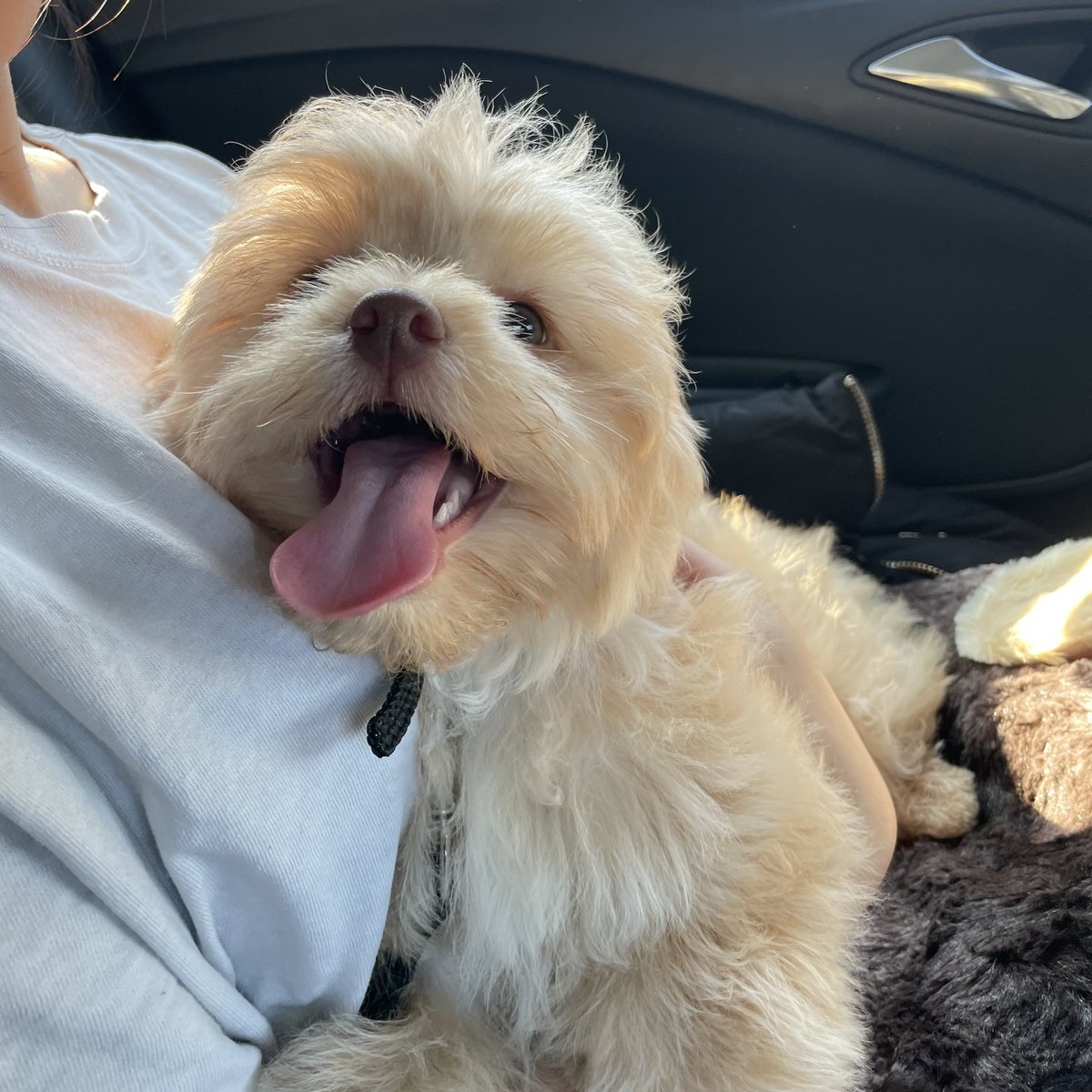 ImaCaryl's tweet photo. My baby is growing so fast 😭😭😭 https://t.co/mpCono5x5v