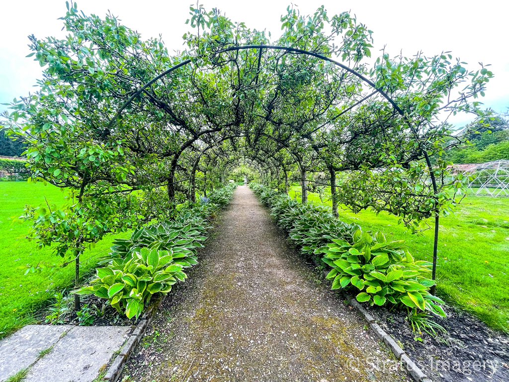 stratusimagery's tweet photo. Sunday morning views #croxteth #croxtethhall #walledgarden https://t.co/Kz66CkTFIp