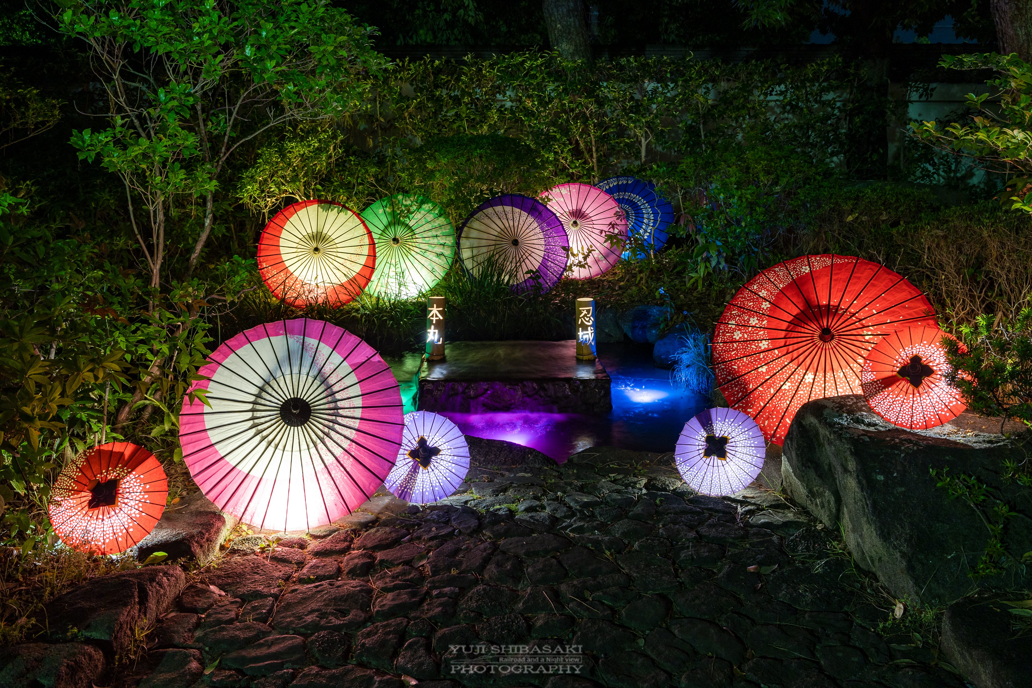 Teller Zozowo Twitter