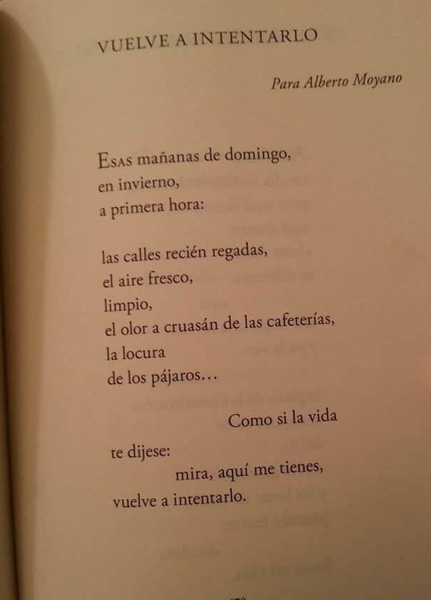 literlandweb1's tweet photo. Vuelve a intentarlo. Palabra de Karmelo Iribarren. https://t.co/CTGZNIPTxE