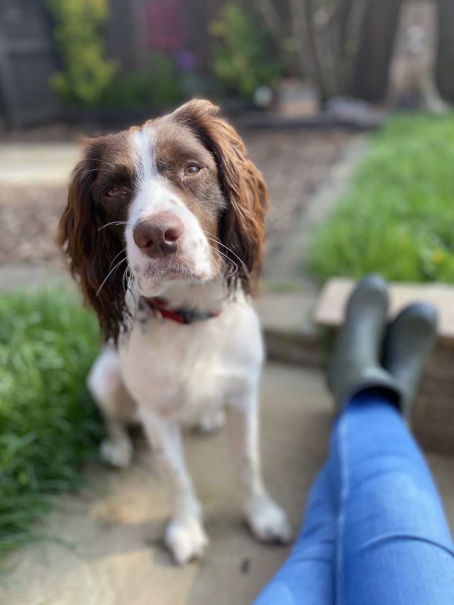 KidnerLisa's tweet image. My handsome boy!