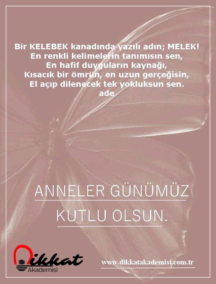 Tüm annelerimizin ANNELER GÜNÜ kutlu olsun!

#dikkatakademisi #anne #annelergünü #annesevgisi #annekalbi #annemerhameti #ana