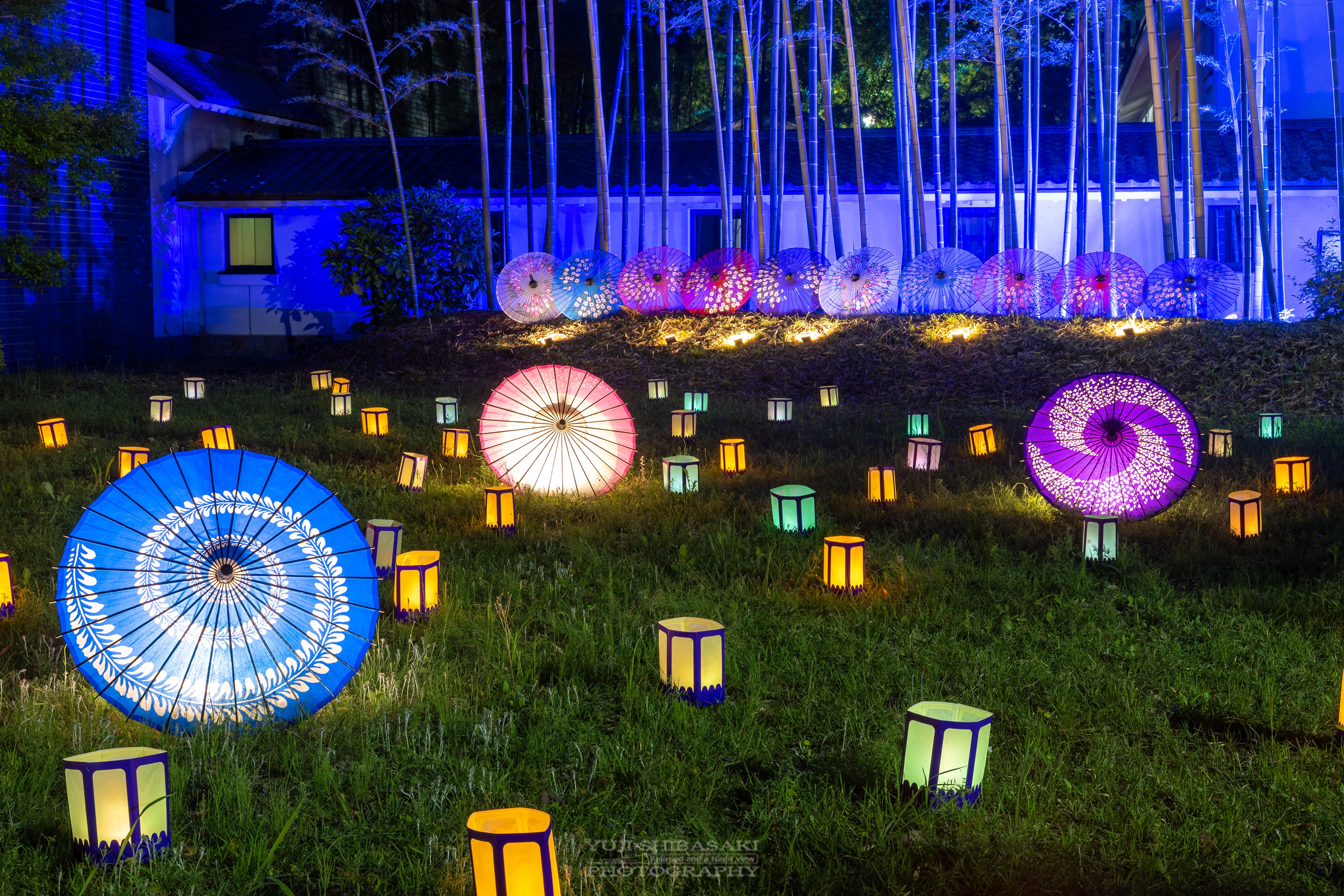 Teller Zozowo Twitter