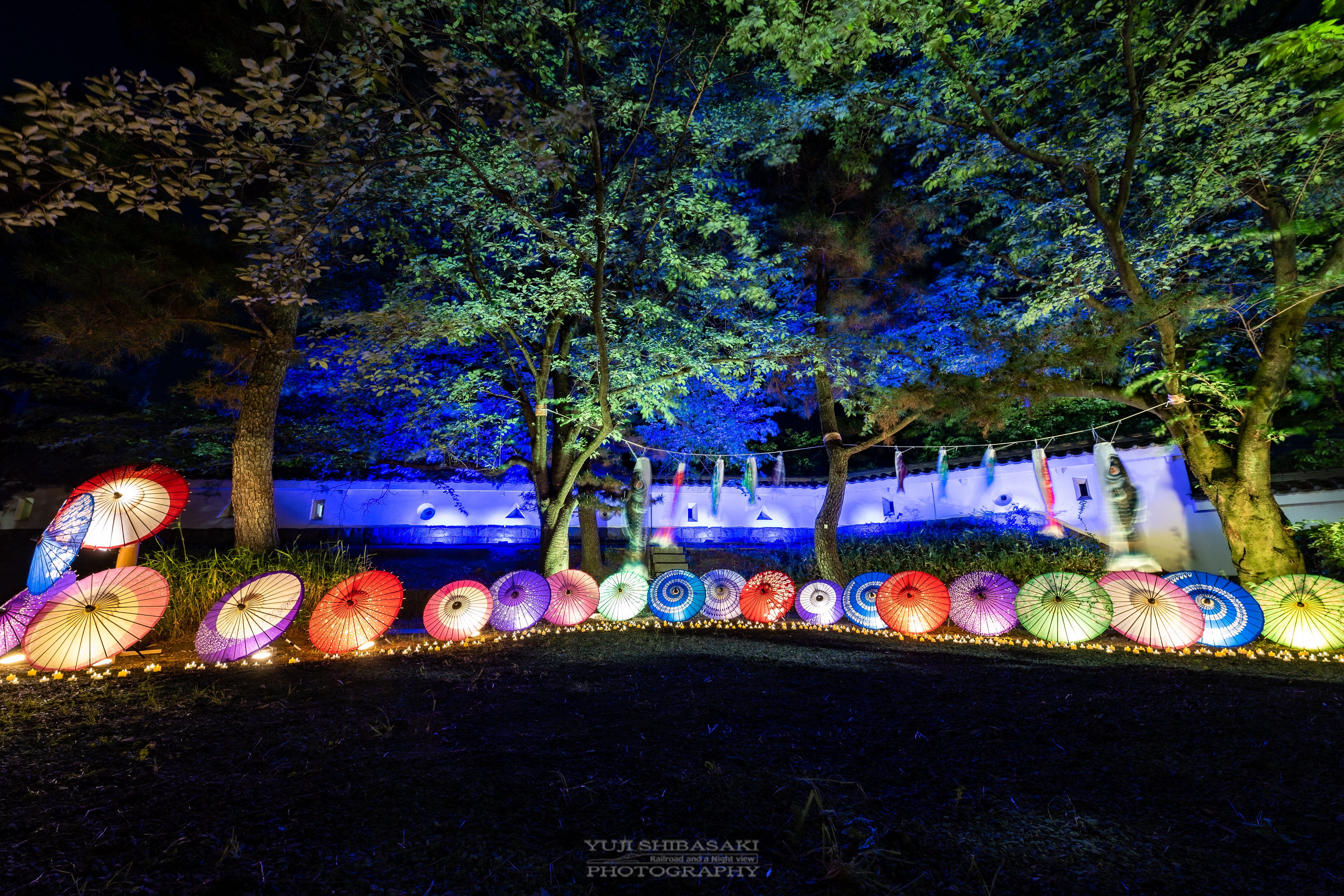 Teller Zozowo Twitter