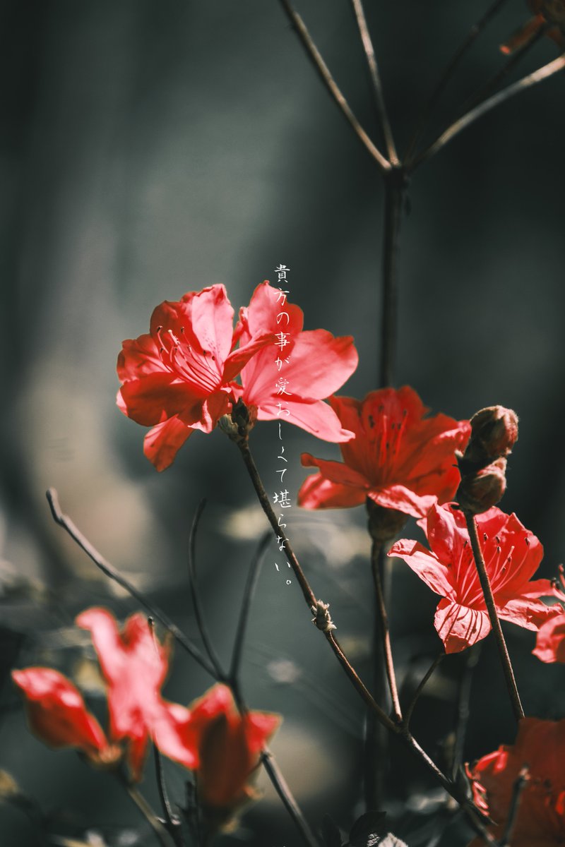 目を逸らしていた想いが溢れ出す。