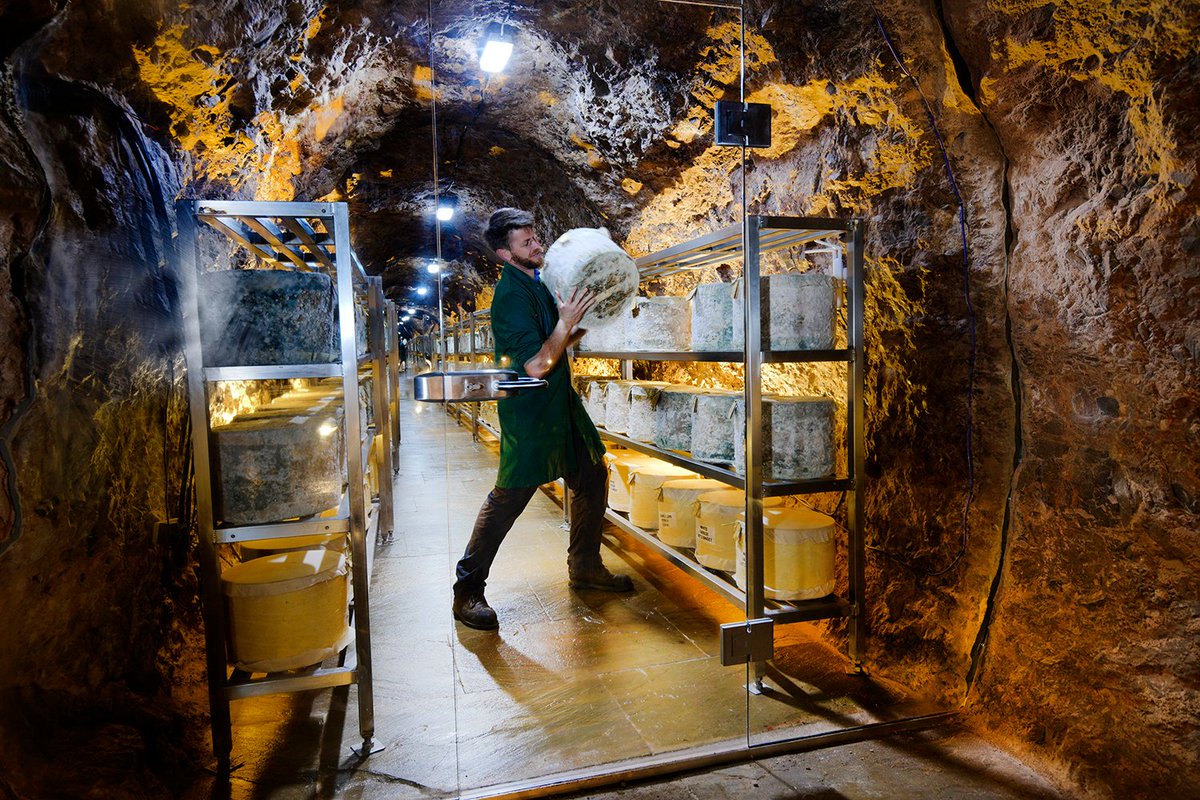 FordFarmCheese's tweet photo. Did you know we have a live Cheese Cam?!
Click on the link to see our Cave Aged Cheddar maturing in real time in the Wookey Hole Caves!
https://t.co/Aq7KsdTwwY
#cheesecam #wookeyholecheesecam #livecheesecam #caveagedcheddar #wookeyholecheddar https://t.co/DhmX2ykudy