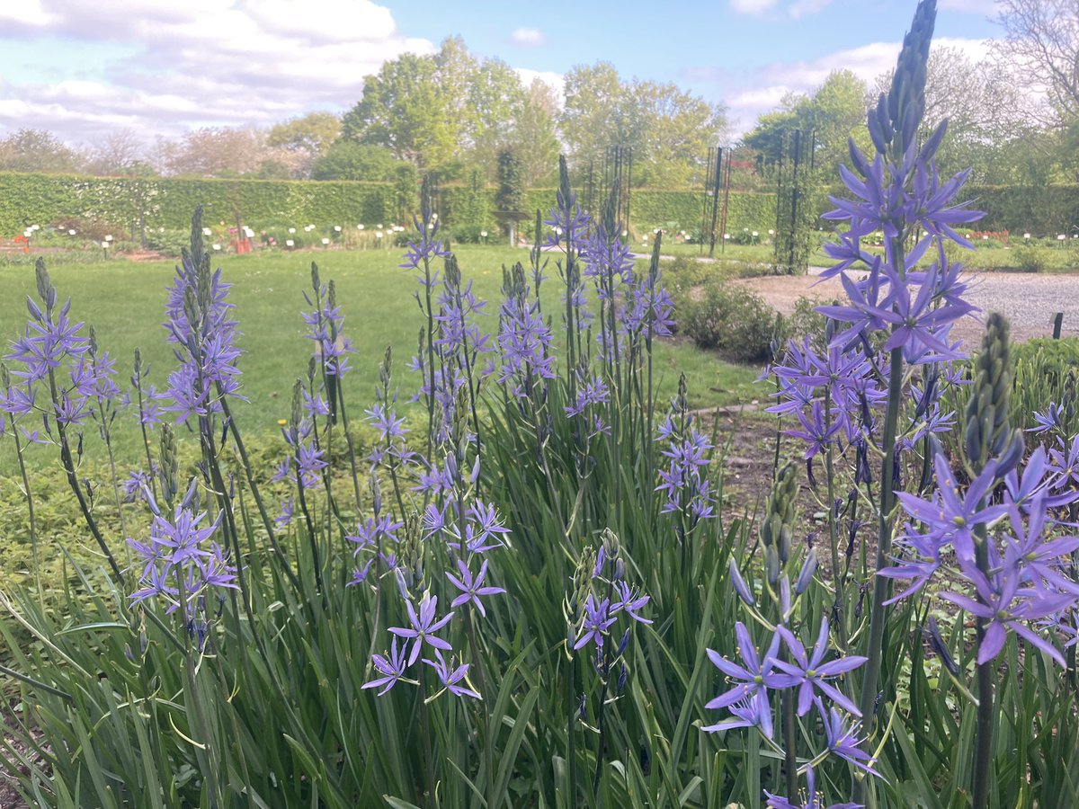Het is #moederdag ook bij ons. Dagje De Kruidhof is zintuigen verwennen.