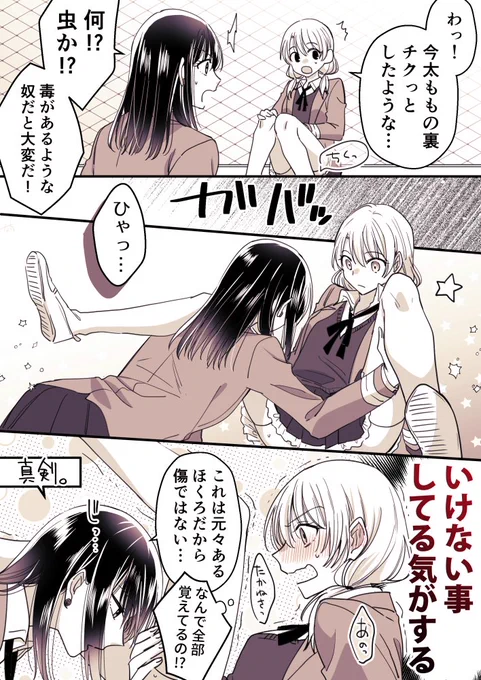 友達いっぱい元気っ子と孤高の天才美少女
#高音さんと嵐ちゃん
#創作百合 