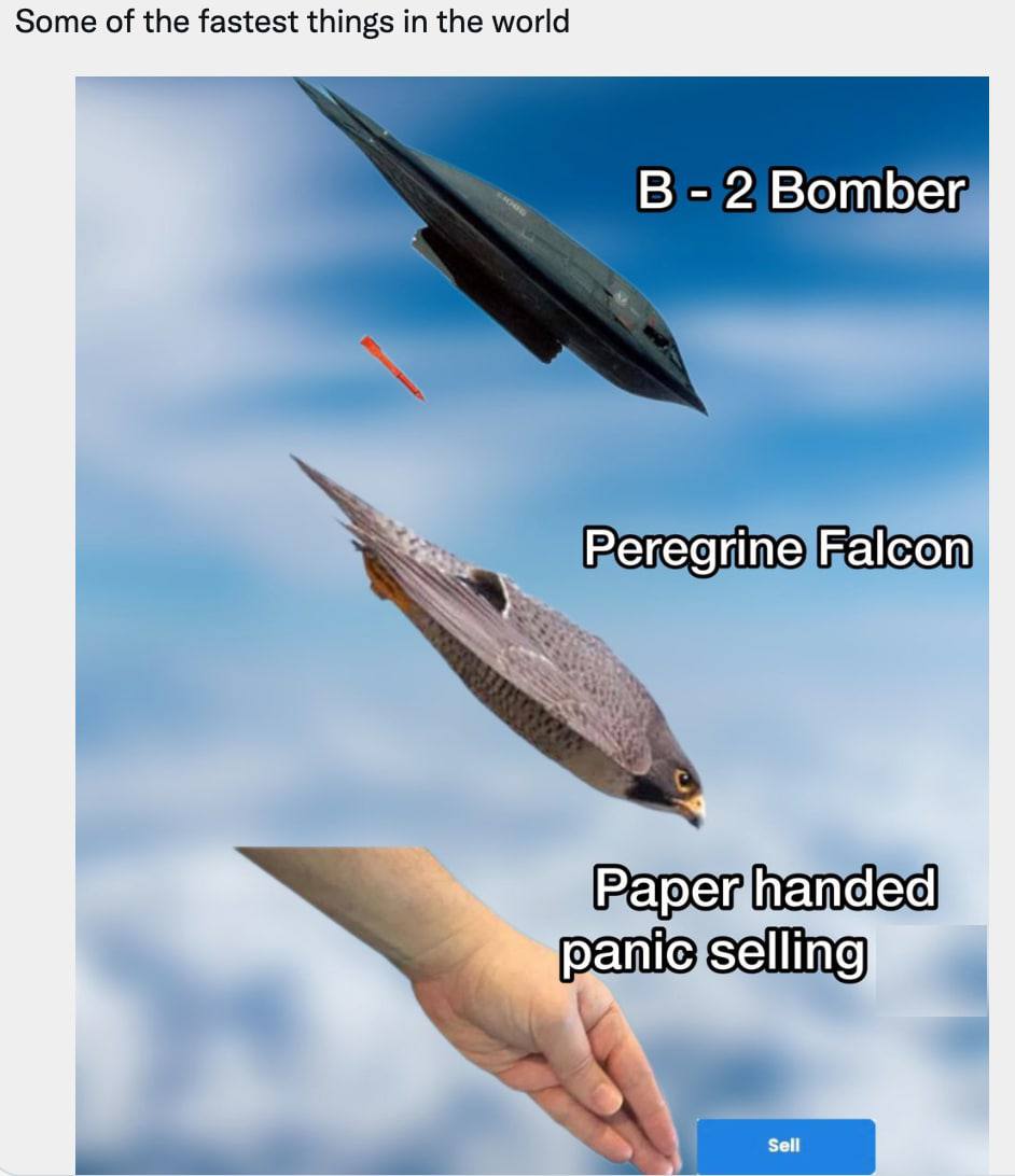 coinbureau's tweet photo. They are all highly aerodynamic and can reach incredible speeds... https://t.co/BXxPuVS0OA