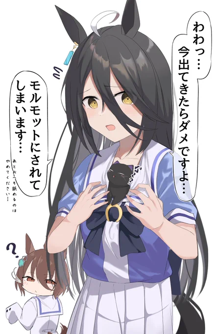 ネコカフェ
#ウマ娘 