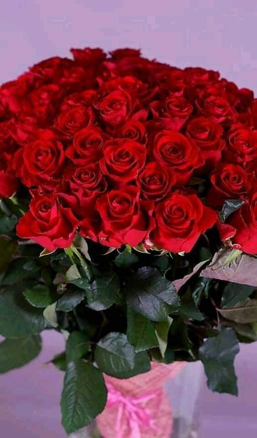 Sweet_reading45's tweet photo. Happy mother's  day https://t.co/n99mqwp3p7
