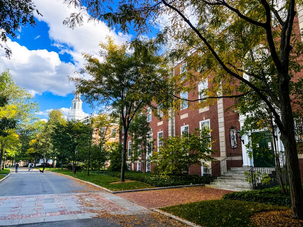 Road winding through Harvard campus past buildings, green trees, and blue skies overhead