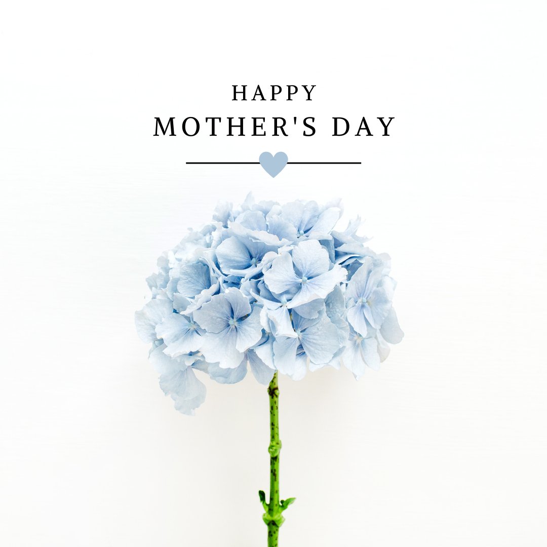 NAMBPlus's tweet photo. Happy Mother's Day to all of the mothers and motherly figures who have played critical roles in our lives! 

#MothersDay https://t.co/C9kMwhMHsB