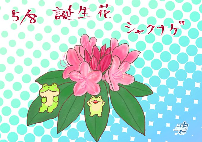 花言葉のtwitterイラスト検索結果