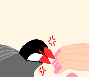 文鳥のtwitterイラスト検索結果