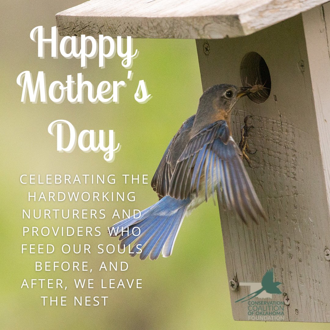 Conservation Coalition of Oklahoma (@conserve_ok) on Twitter photo 