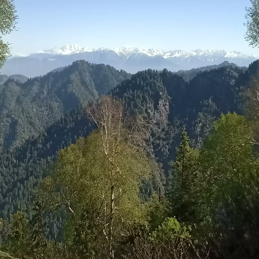 riaaxullah's tweet photo. At the top of dwa saro ghar(dual peak mountain), situated between swat,buner and shangla. It is the highest point of Hindu kash range in these 3 districts, which is almost 12 thousand feet high. https://t.co/c81xE0NnrH