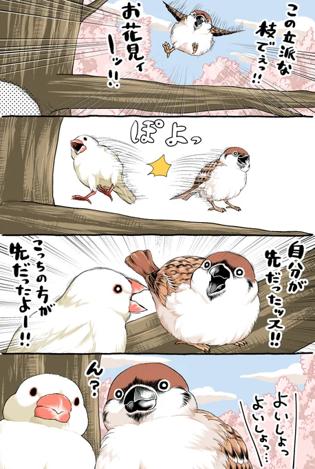 今更なお花見ネタです🐓 