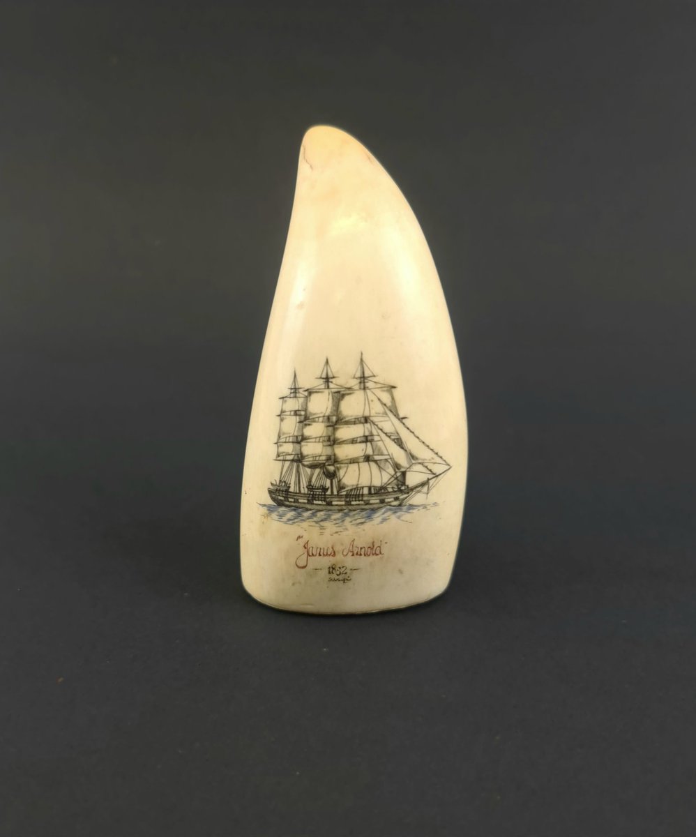 SwanDeverell's tweet photo. *JUST CONSIGNED*

This whale tooth scrimshaw will be part of our Director's Selection auction in June.

#antiques #vintage #collectables #scrimshaw #whaletooth #auction #auctionhouse #onlineauction https://t.co/xEVLMtk8kD