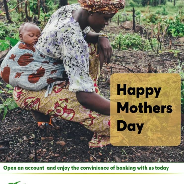 Womens Bank Zimbabwe tweet media