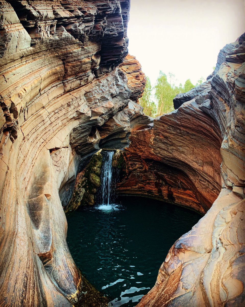 HelenaWu86's tweet photo. One of the many very special places found when exploring #karijininationalpark - natural #spapool. Love the #hamersleyranges! #thisiswa #wanderoutyonder #westernaustralia #karijini #hamersleygorge https://t.co/iuBxy211OO