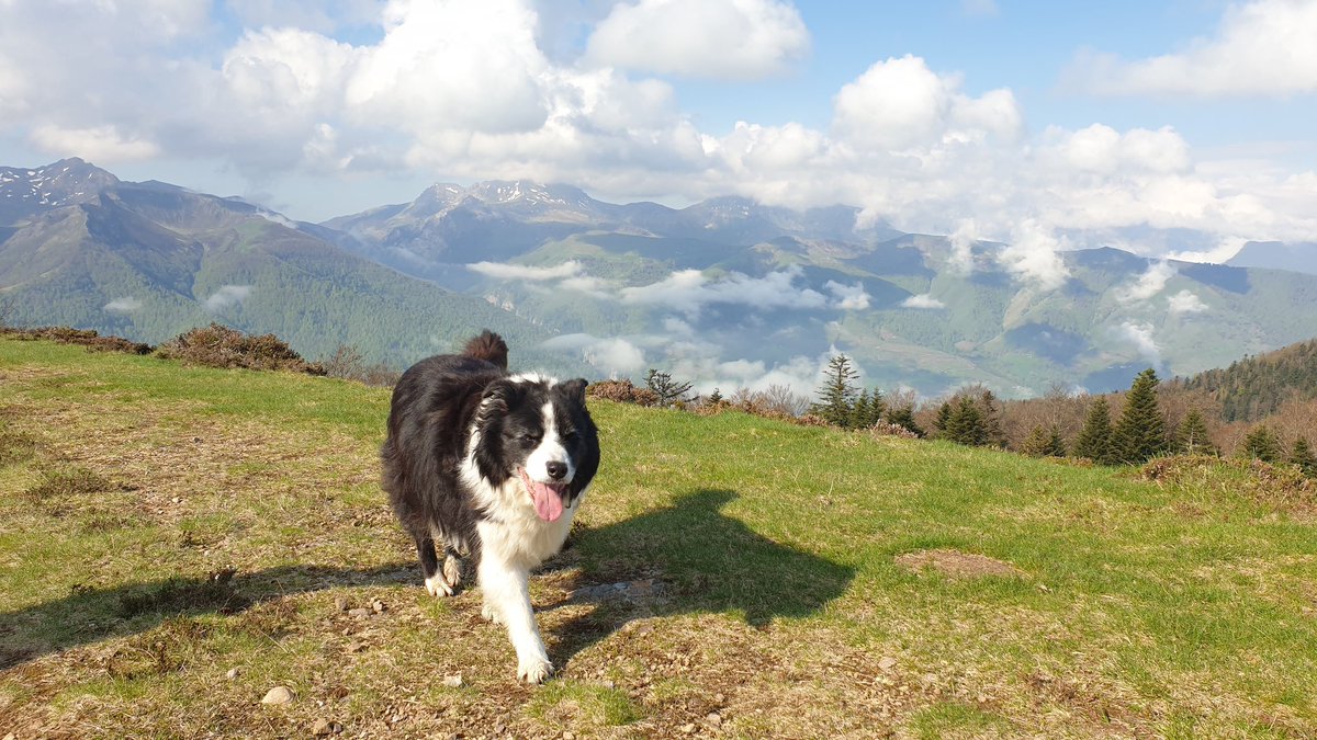 reverberg's tweet photo. Birthday walk in the Pyrénées - best there is cake after Dad @BCTGB https://t.co/5pYAySlB62