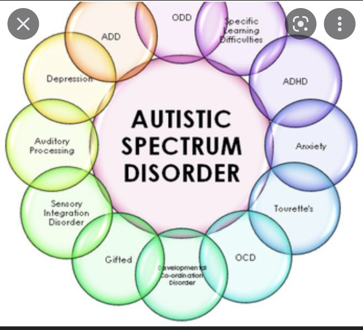 Aimee morgan tweet media