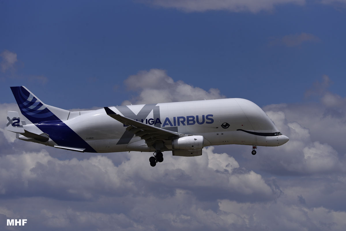 MiguelHF7's tweet photo. Spotting in Getafe
 #spotting #spotters #Airbus #Beluga #baseaereagetafe #airbus #airtransport 
#spotting https://t.co/0GJqA5VJjT