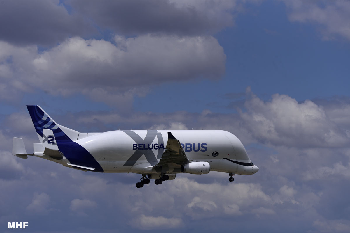 MiguelHF7's tweet photo. Spotting in Getafe
 #spotting #spotters #Airbus #Beluga #baseaereagetafe #airbus #airtransport 
#spotting https://t.co/0GJqA5VJjT