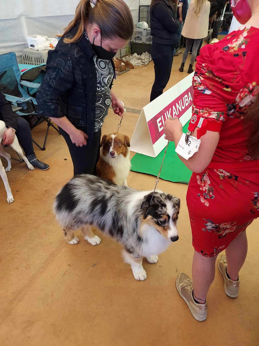 Dr0neJester's tweet image. Pronti per entrare nel ring 🦾